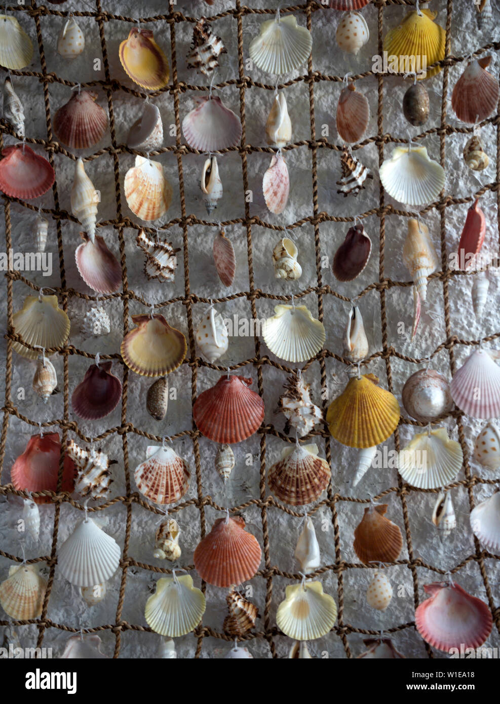 Network With Beautiful Seashells As Decor Fishing Net With