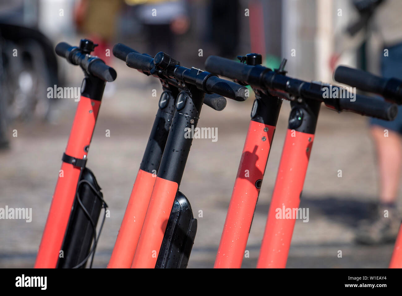 Electric scooters in row on the streets, a modern city bike rental