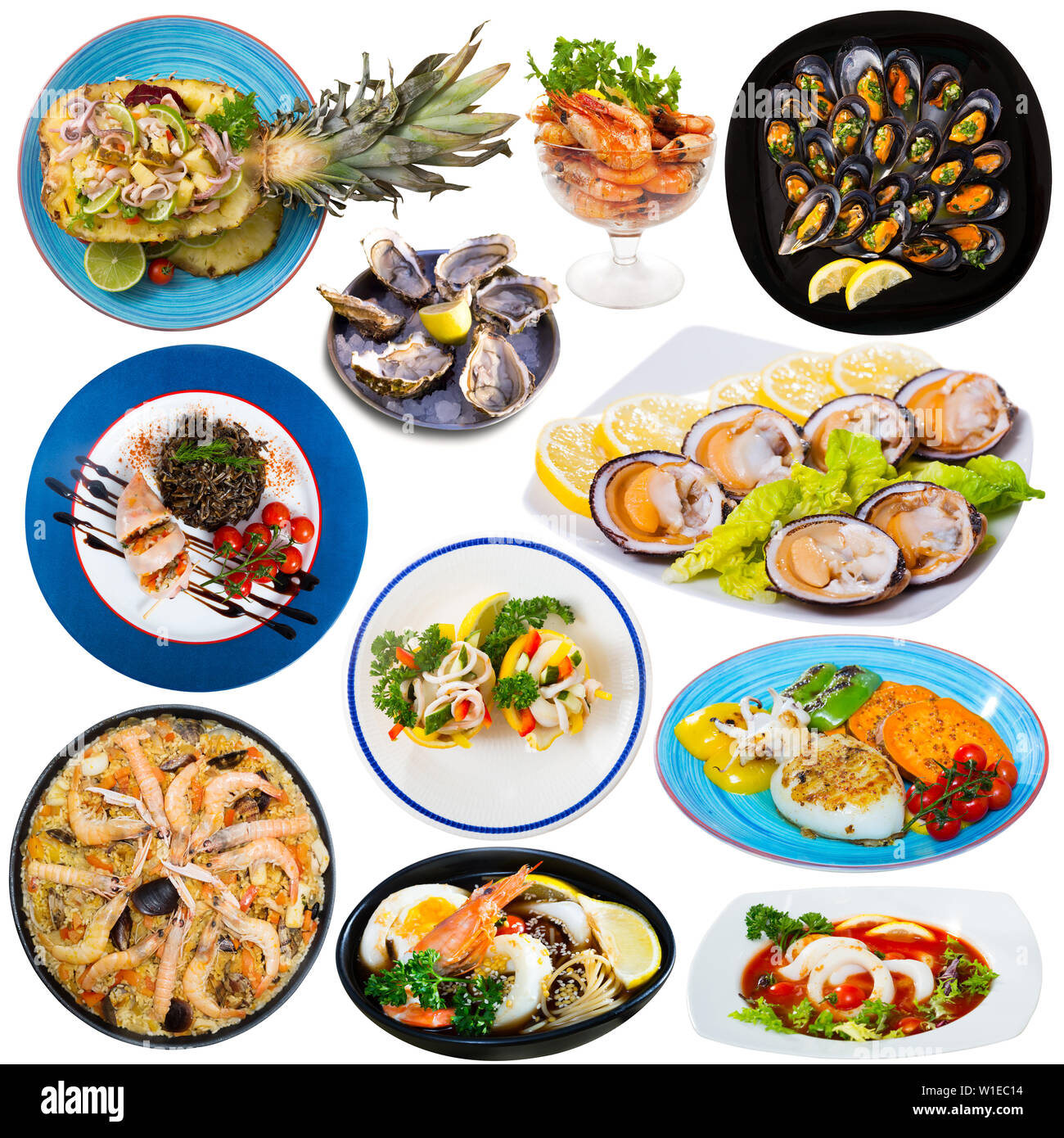 Tasty different dishes with seafood served at plates isolated on white