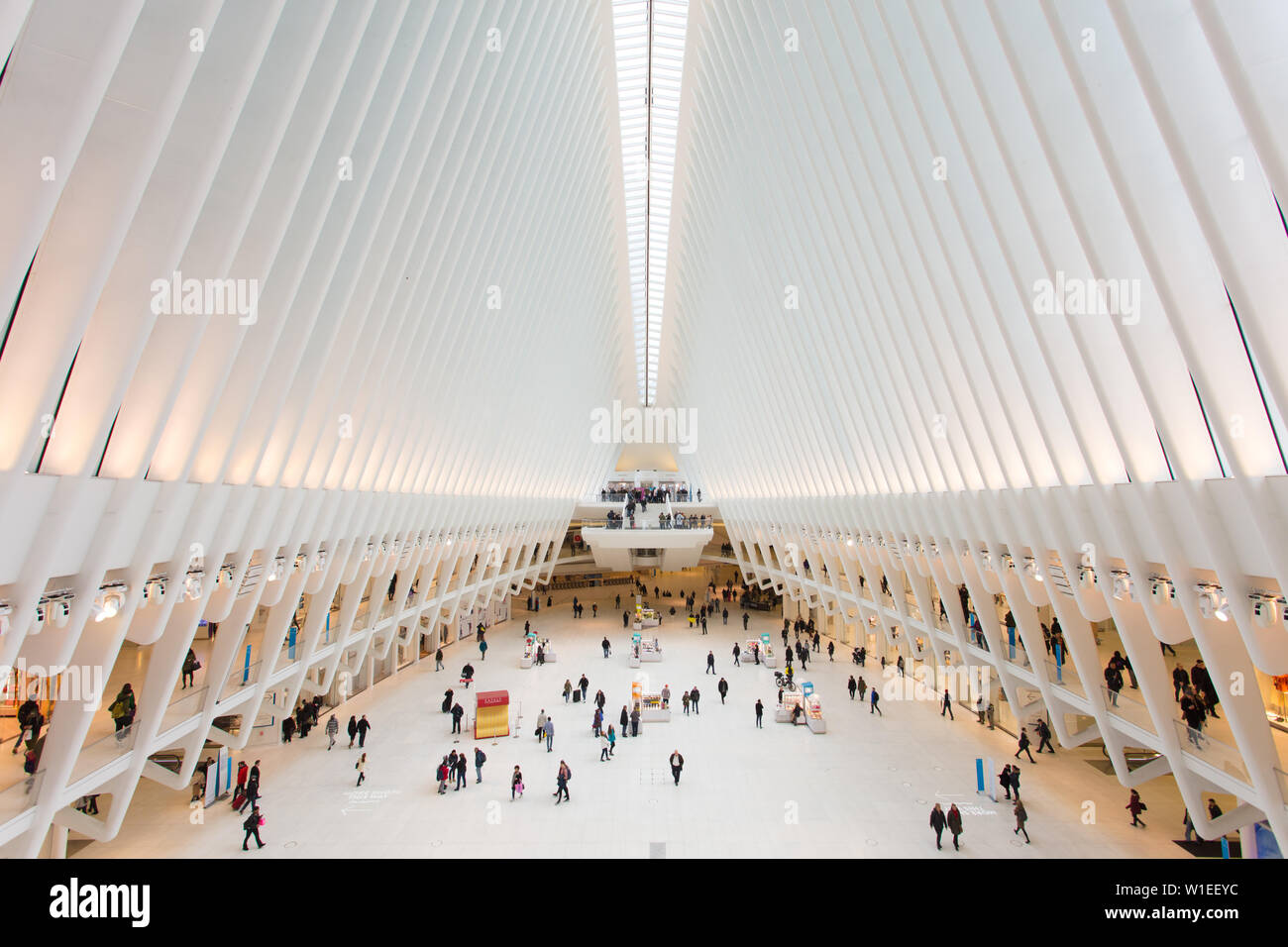 Oculus, World Trade Center Transportation Hub, Financial District, Manhattan, New York City, New York, United States of America, North America Stock Photo