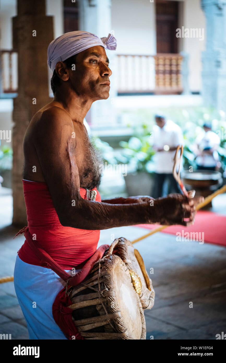 Drummer during Puja, Temple of the Sacred Tooth Relic, Kandy, Central Province, Sri Lanka, Asia Stock Photo