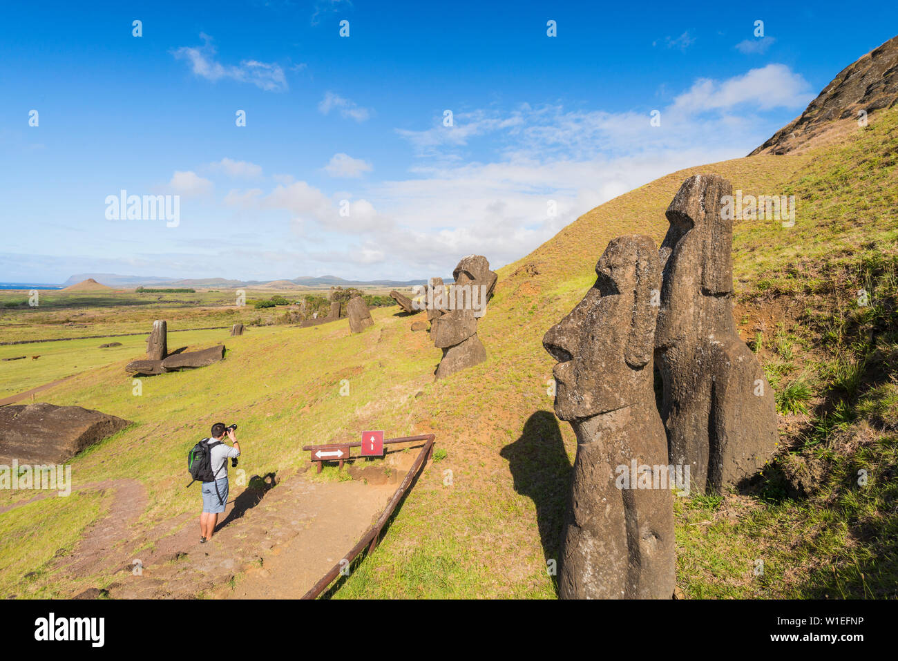 Moai heads of Easter Island, Rapa Nui National Park, UNESCO World Heritage Site, Easter Island, Chile, Polynesia, South America Stock Photo