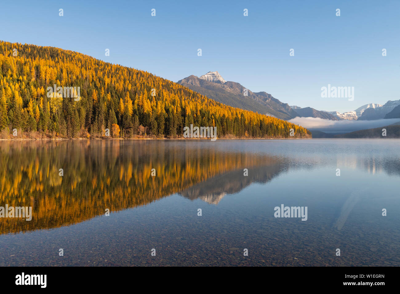 Bowman Lake, Glacier National Park, Montana, United States of America, North America Stock Photo