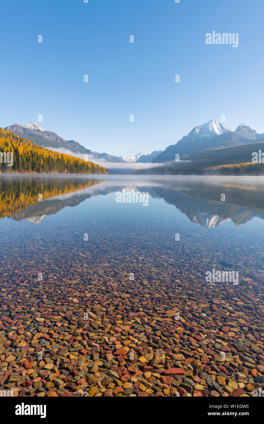 Bowman Lake, Glacier National Park, Montana, United States of America, North America Stock Photo