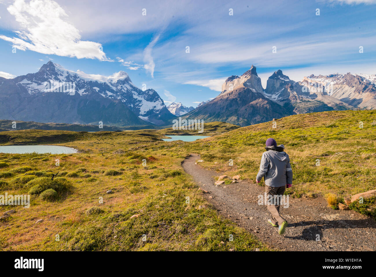 Torres Del Paine National Park, Patagonia, Chile, South America Stock ...