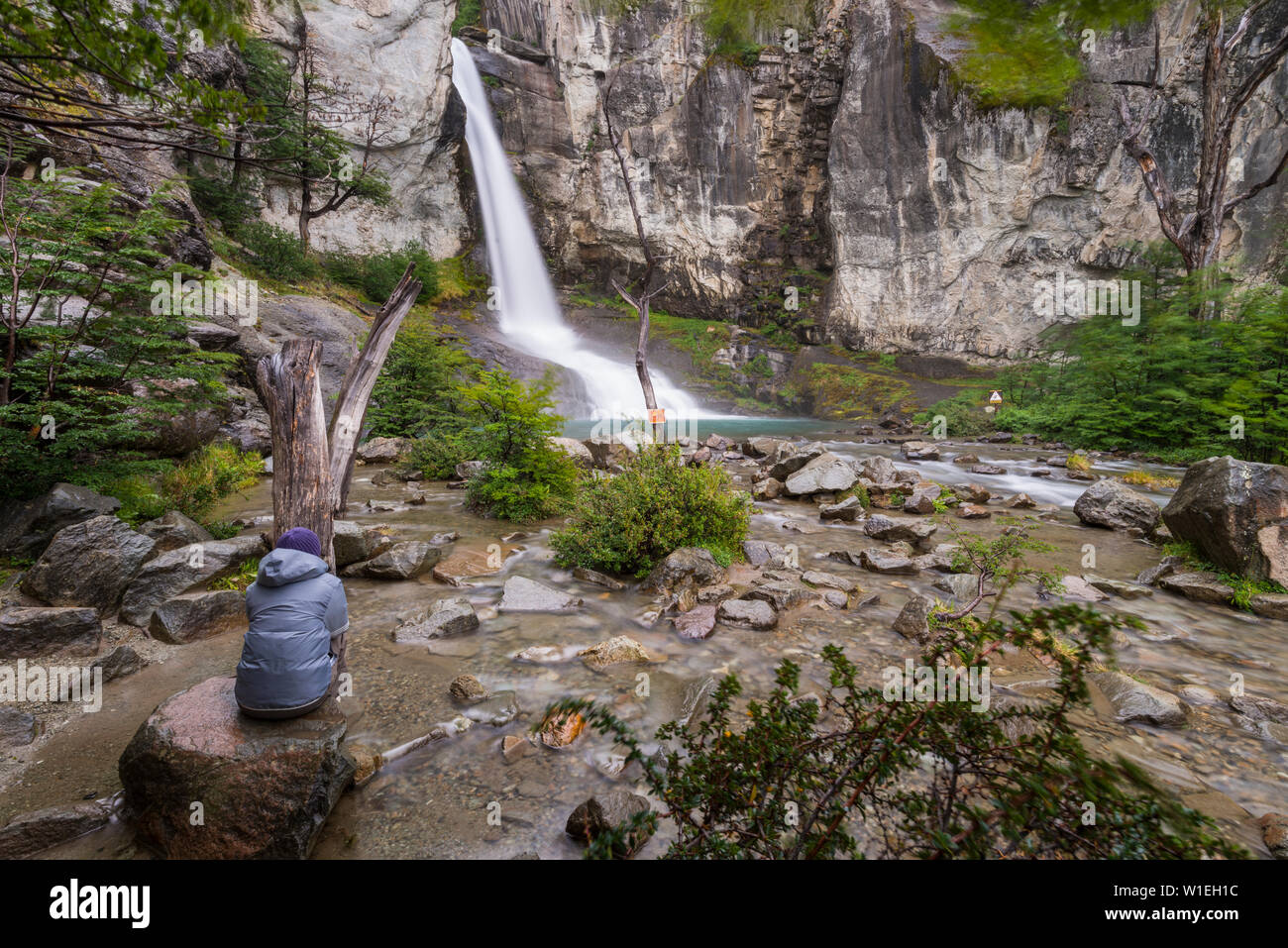 Salto El Chorrillo waterfall, El Chalten, Santa Cruz, Argentina, South America Stock Photo