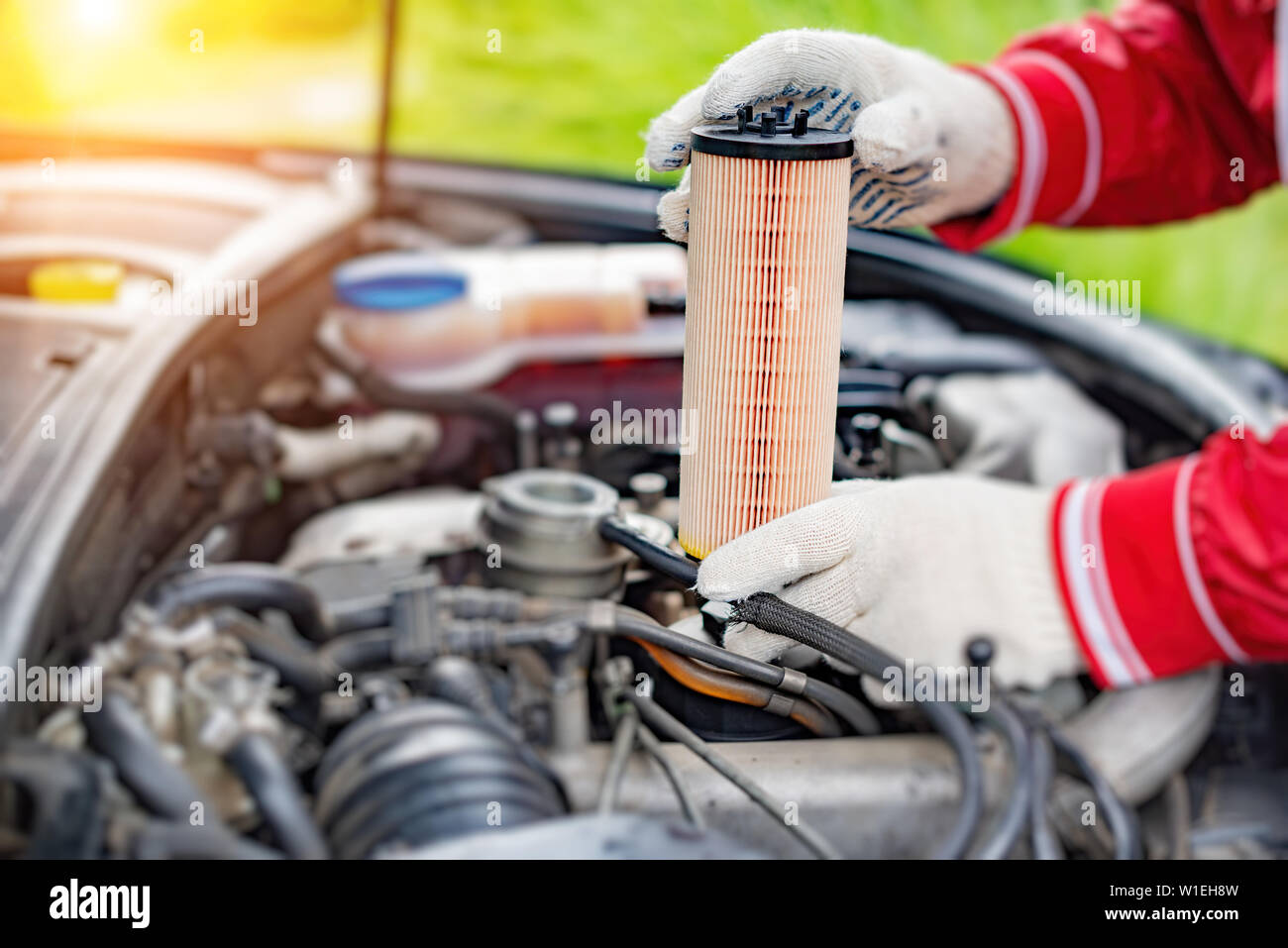 The specialist replaces the oil filter in the car Stock Photo Alamy
