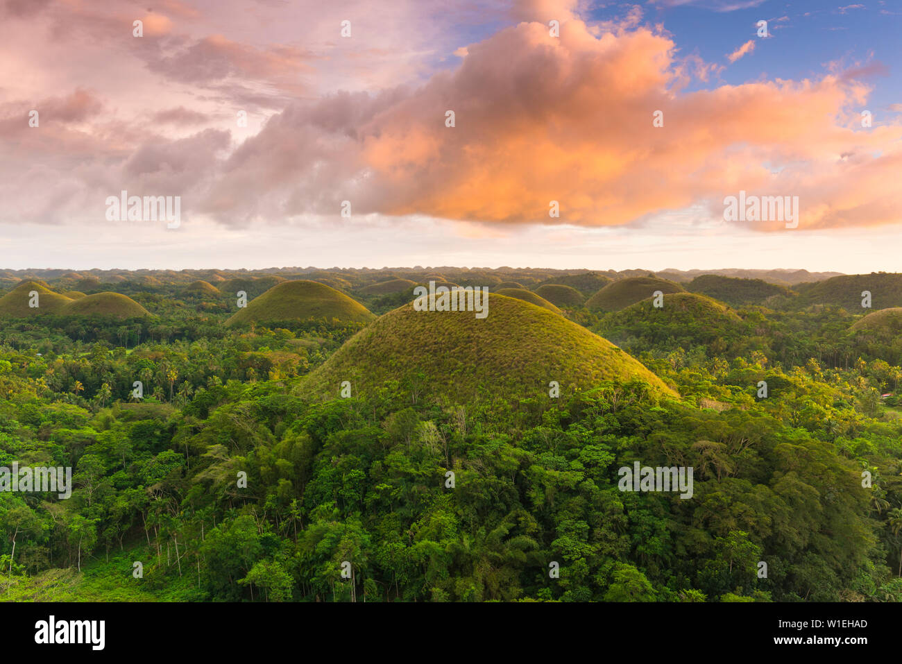 Chocolate Hills, Bohol, Central Visayas, Philippines, Southeast Asia, Asia Stock Photo Alamy