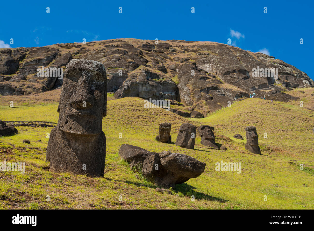 Moai heads of Easter Island, Rapa Nui National Park, UNESCO World