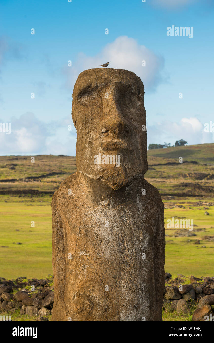 Moai heads of Easter Island, Rapa Nui National Park, UNESCO World