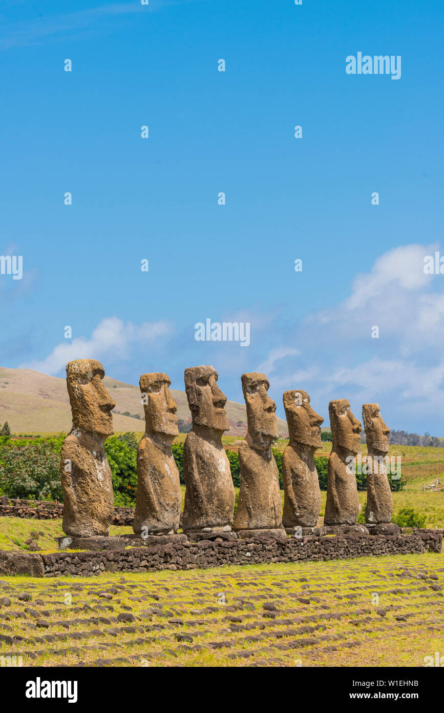 Moai heads of Easter Island, Rapa Nui National Park, UNESCO World
