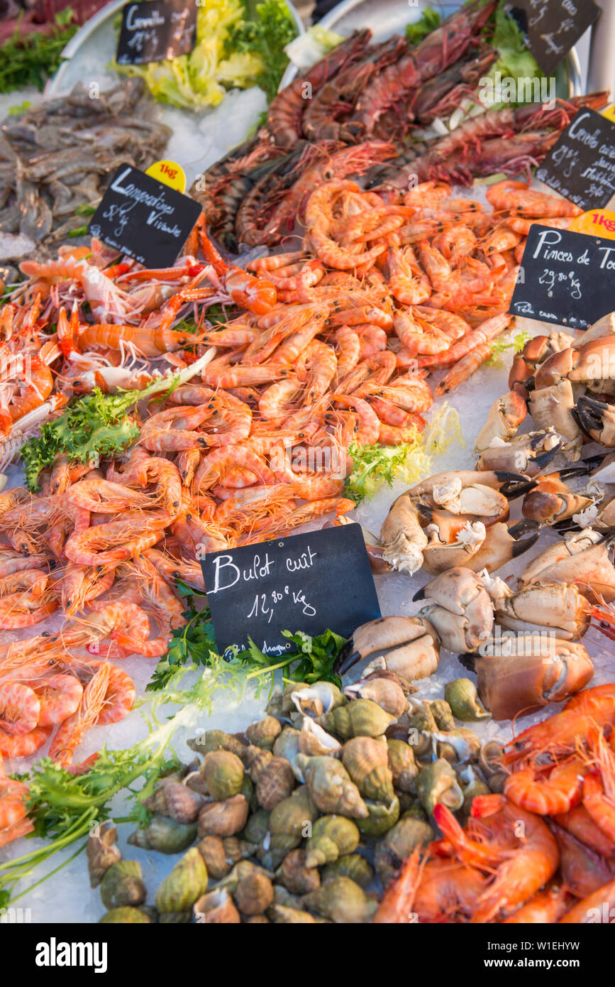 Fresh seafood, Aix en Provence, Bouches du Rhone, Provence, Provence-Alpes-Cote d'Azur, France, Europe Stock Photo