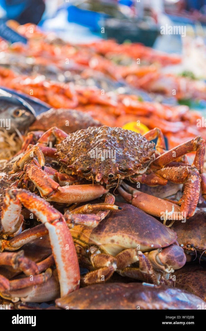 Crabs at the fish market, Aix en Provence, Bouches du Rhone, Provence, Provence-Alpes-Cote d'Azur, France, Europe Stock Photo