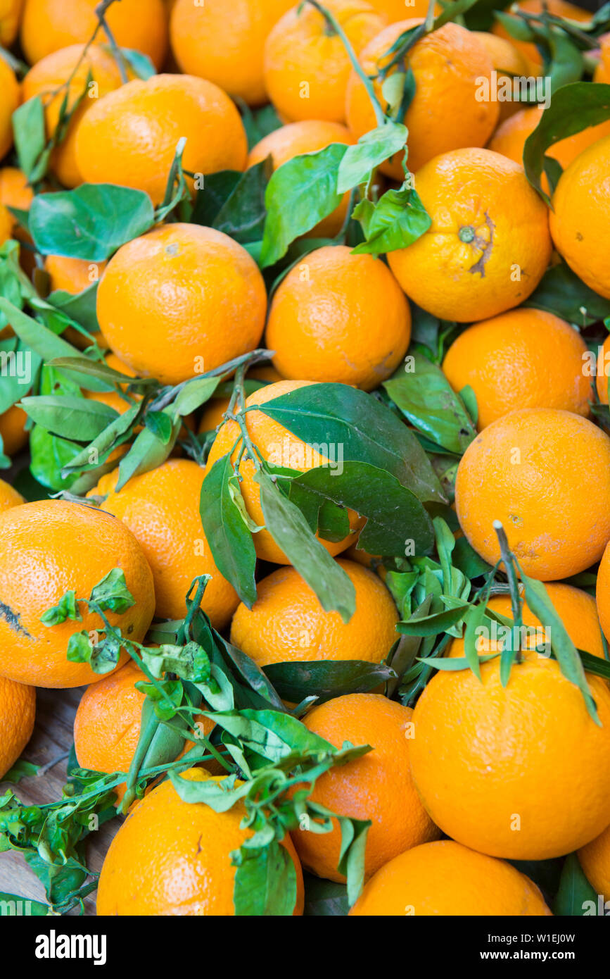 Oranges, Aix en Provence, Bouches du Rhone, Provence, Provence-Alpes-Cote d'Azur, France, Europe Stock Photo