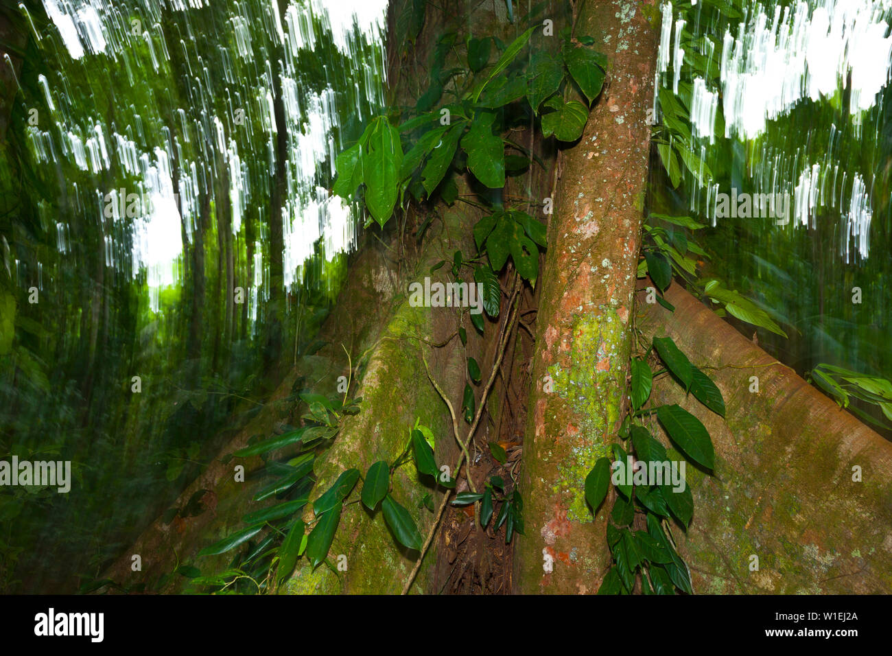 Paisaje de america central hi-res stock photography and images - Alamy