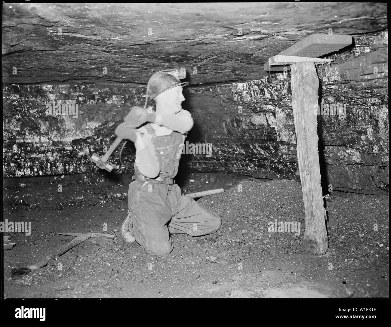 Harry Fain, coal loader, places and secures safety timber close to the face where he will work