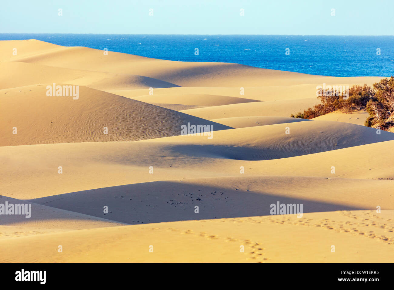 Dunes of Maspalomas Nature Reserve, Gran Canaria, Canary Atlantic, Europe Stock Photo - Alamy
