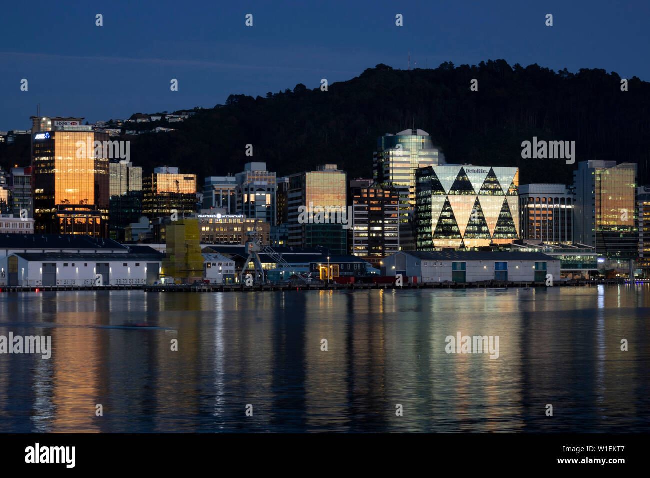Wellington city and waterfront at dawn, Wellington, North Island, New Zealand, Pacific Stock Photo