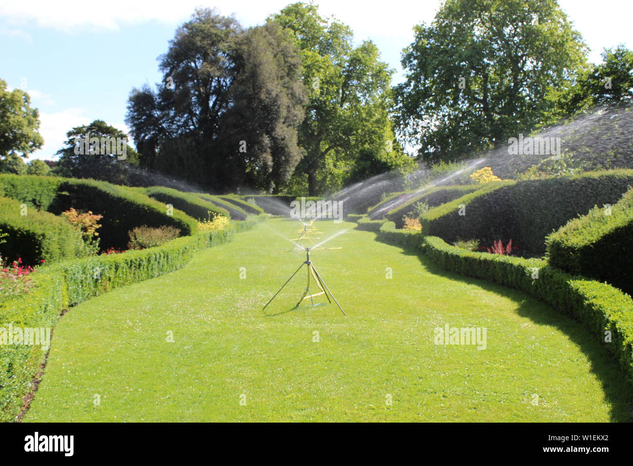 Border summer watering hi-res stock photography and images - Alamy