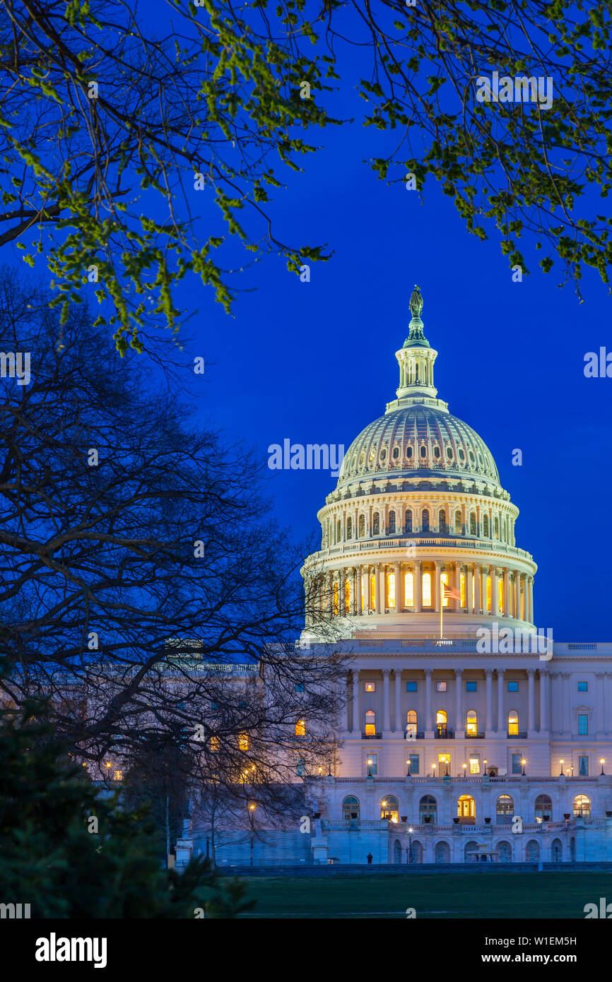 View of the United States Capitol Building at dusk, Washington D.C., United States of America, North America Stock Photo