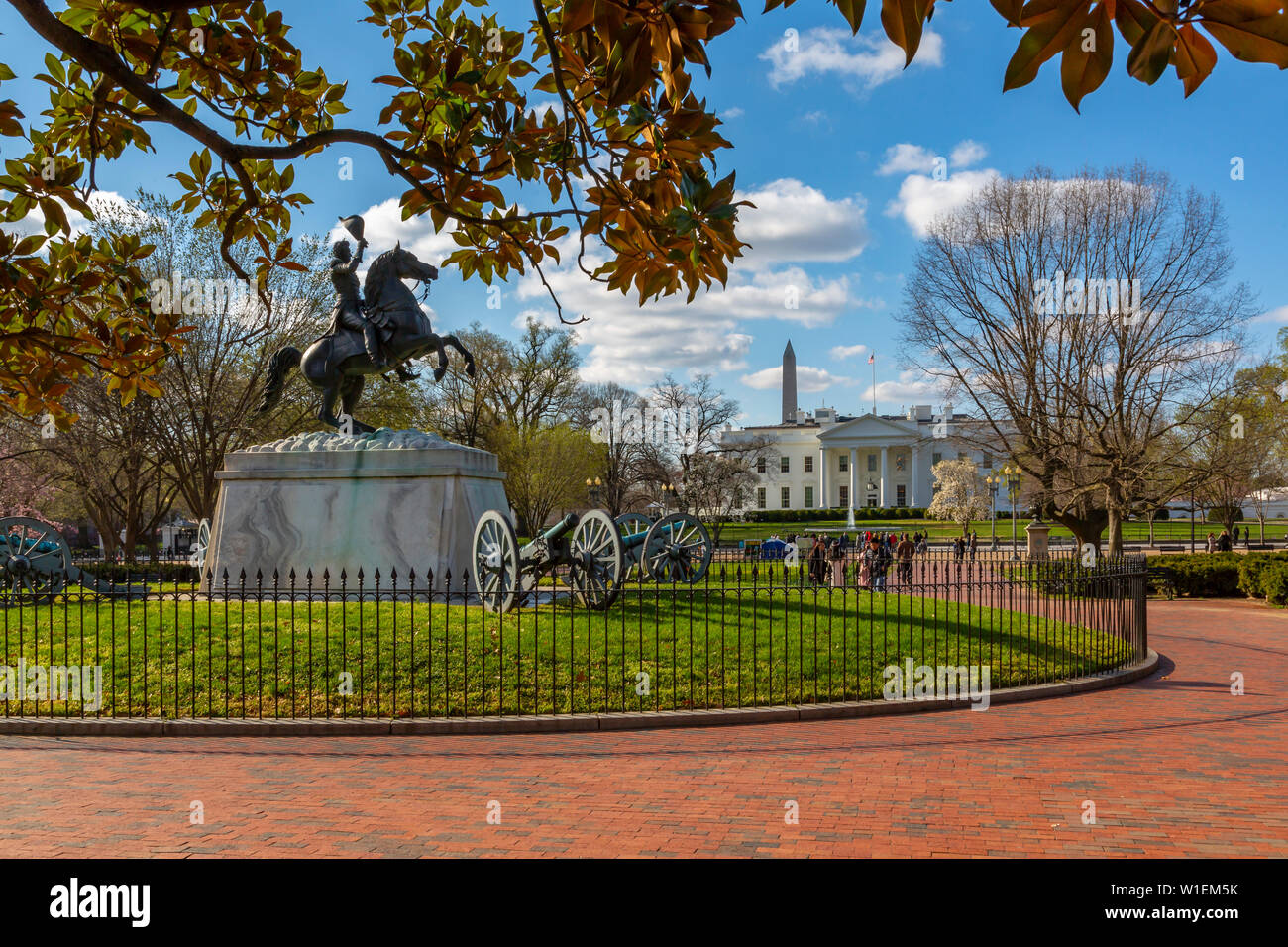 View of The White House and spring blossom in Lafayette Square, Washington D.C., United States of America, North America Stock Photo