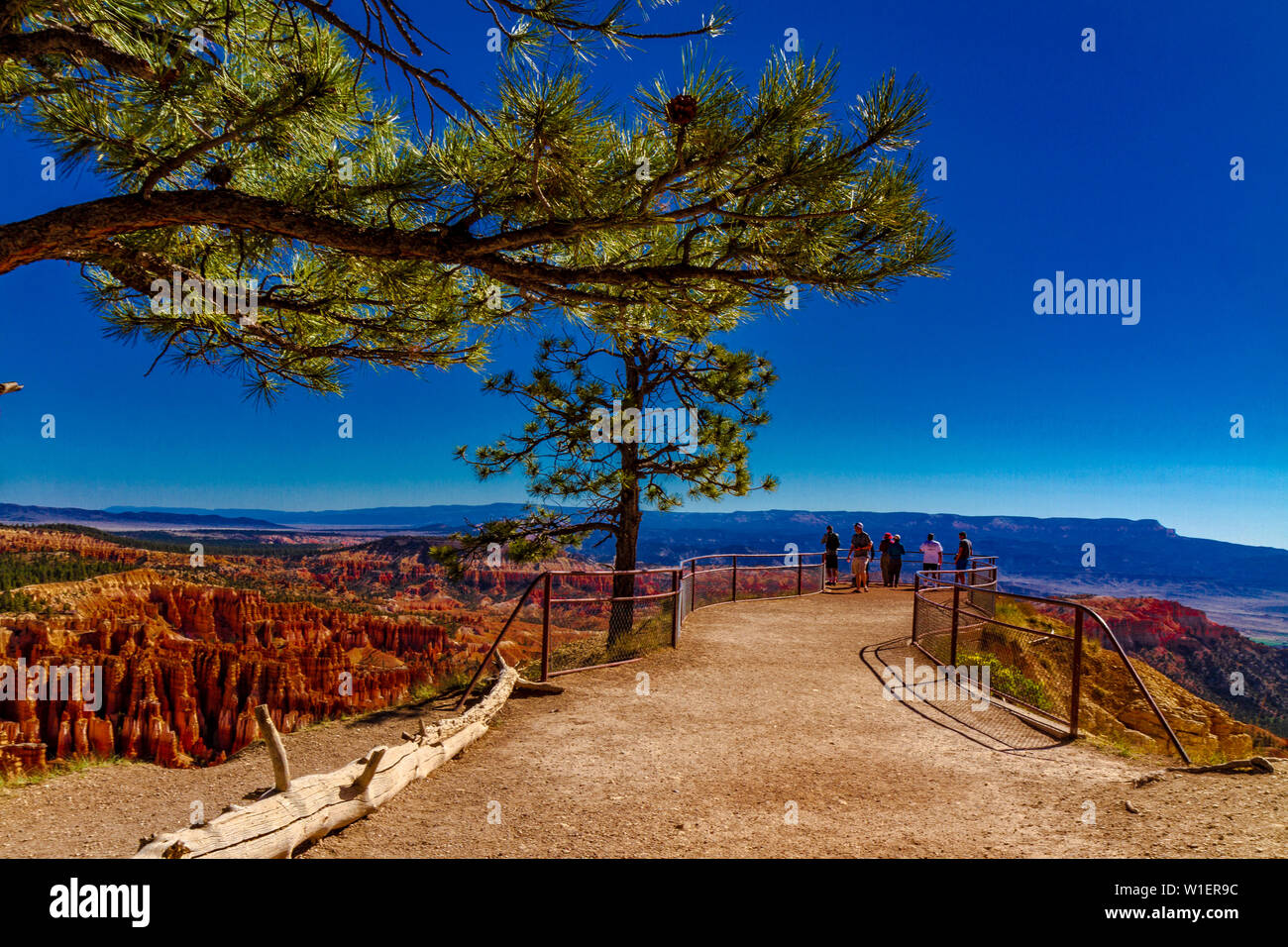 People looking at Bryce Canyon Stock Photo