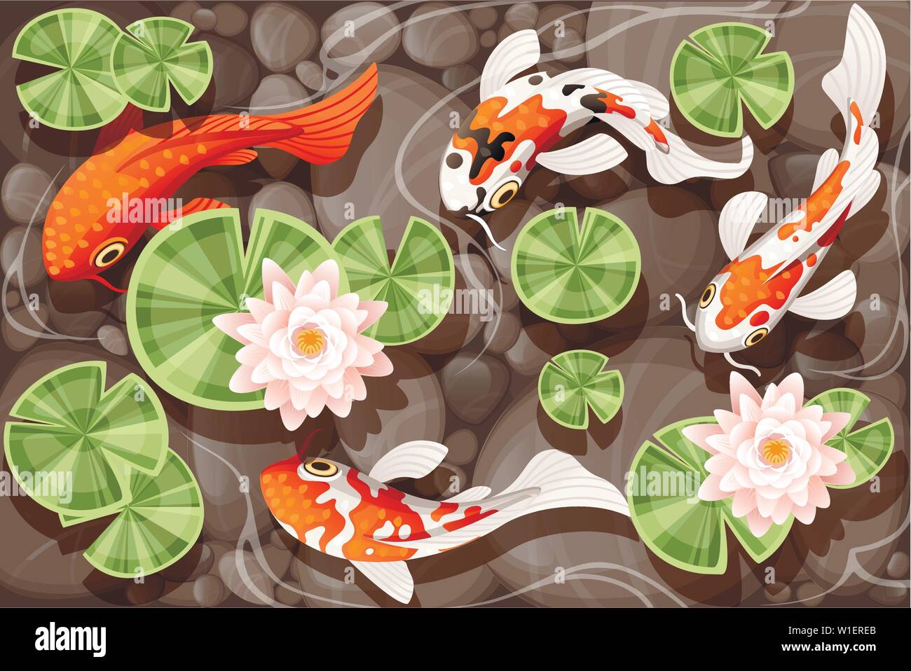 Koi carp swimming in a pond with lily lotus with green leaves on transparent water and stone bottom flat vector illustration Stock Vector