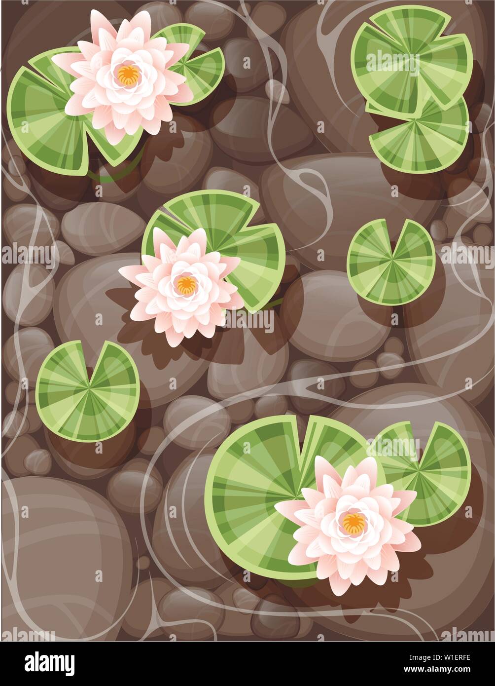 Beautiful lily lotus with green leaves on transparent water and stone bottom flat vector illustration. Stock Vector