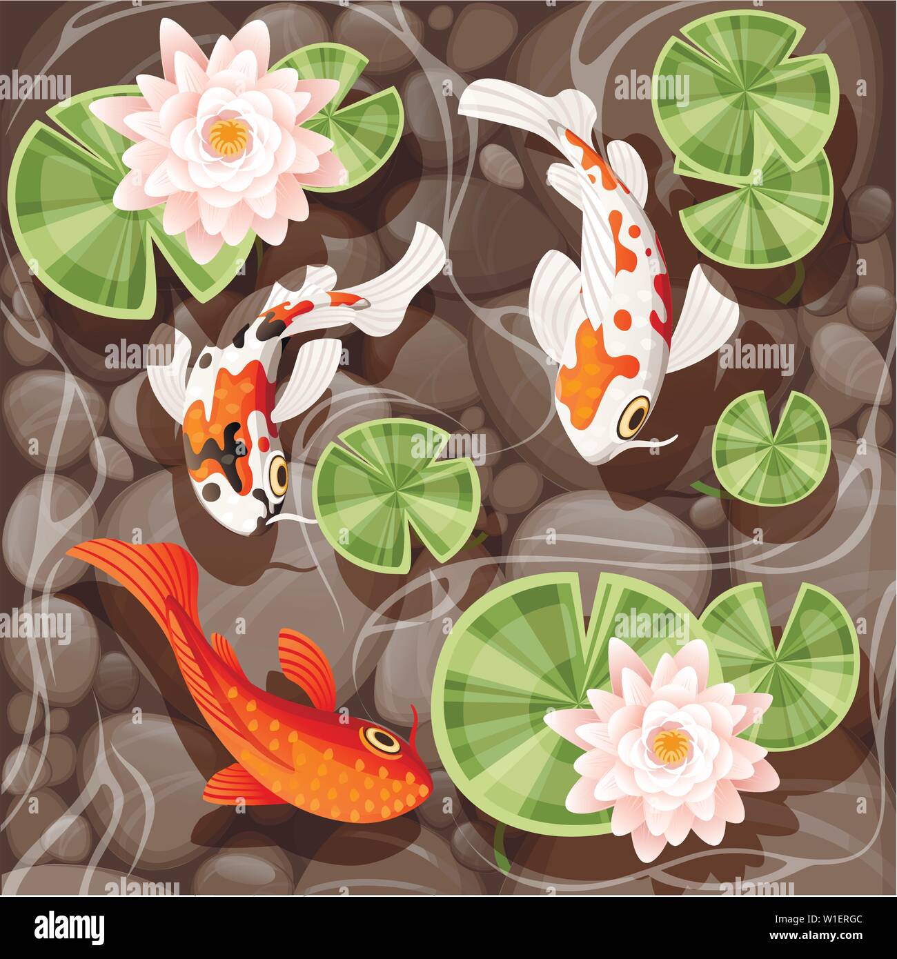 Koi carp swimming in a pond with lily lotus with green leaves on transparent water and stone bottom flat vector illustration Stock Vector