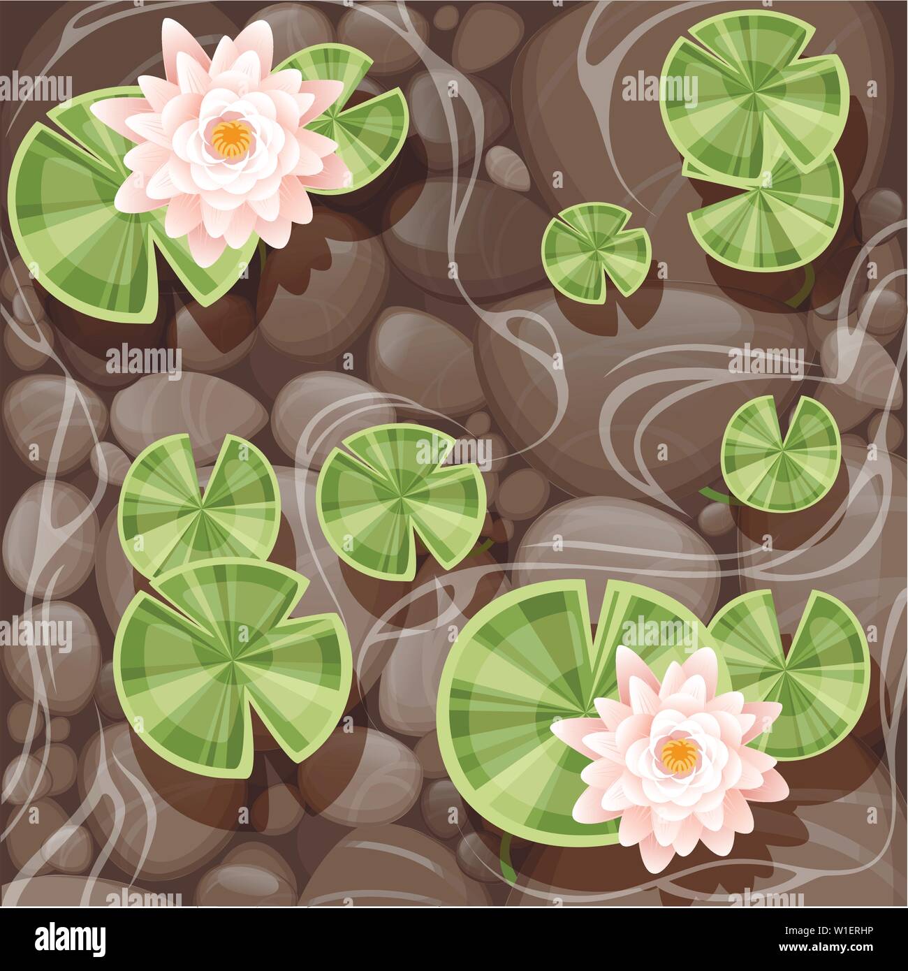 Beautiful lily lotus with green leaves on transparent water and stone bottom flat vector illustration. Stock Vector