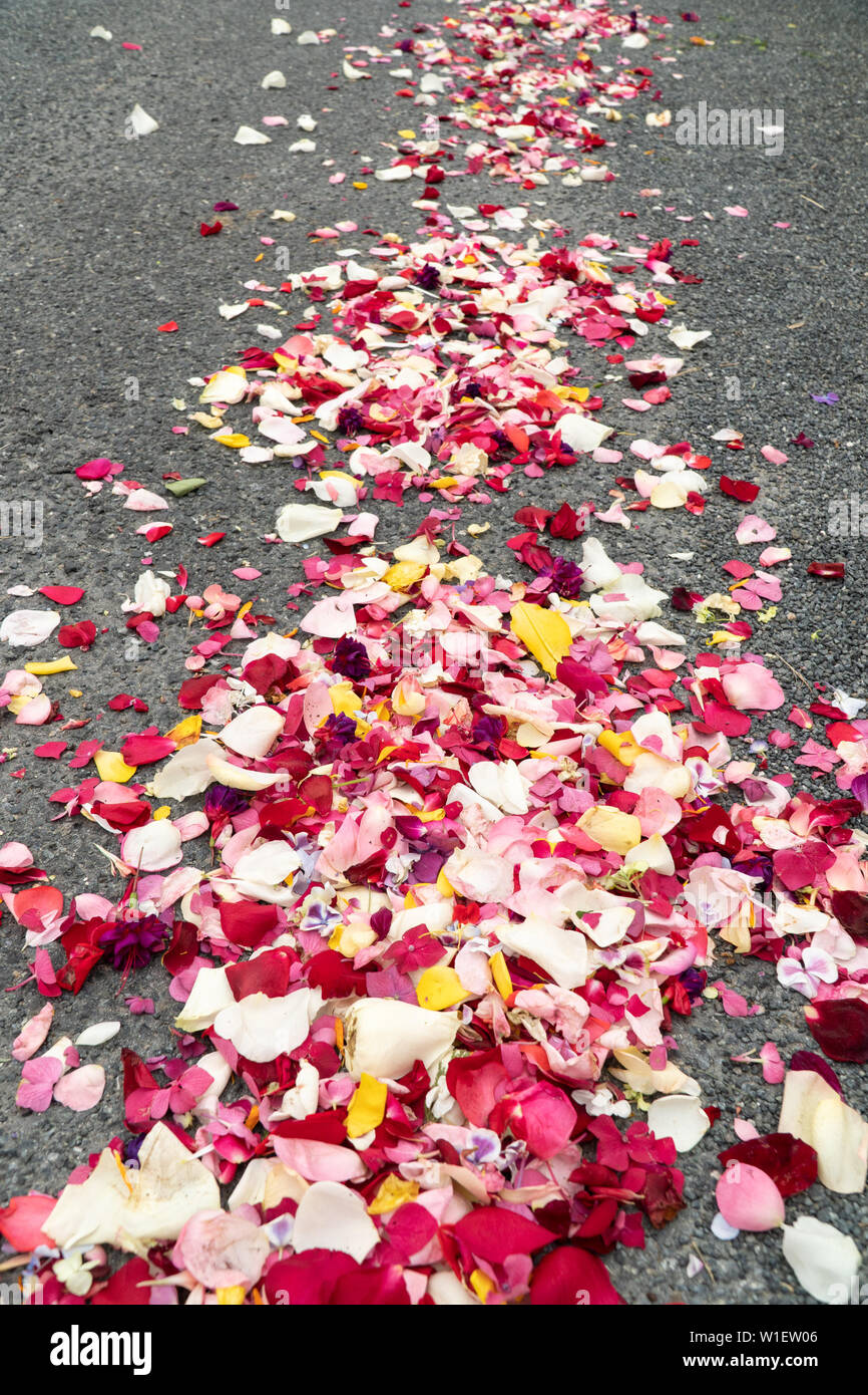 petal on