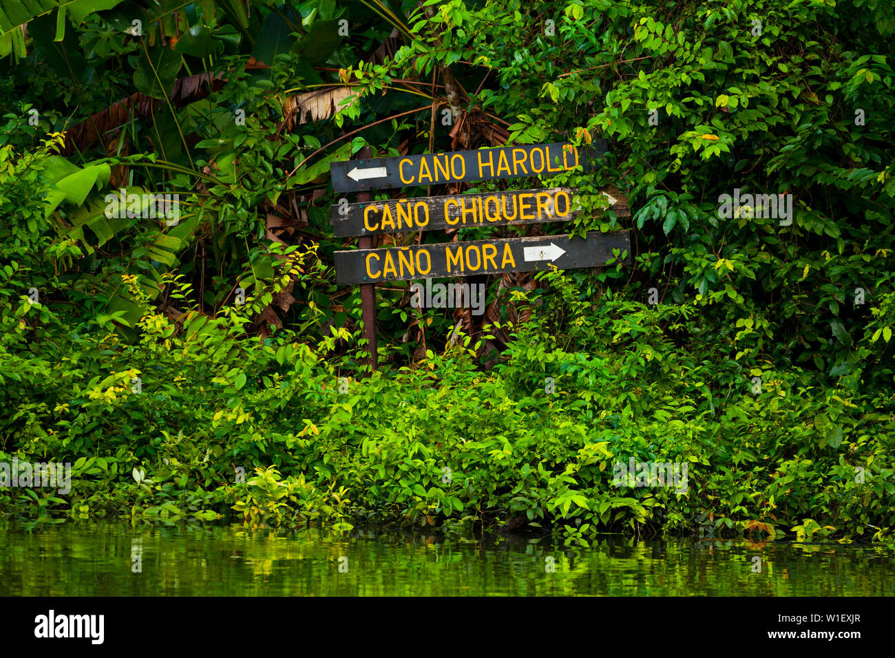 Tortuguero National Park, Costa Rica, Central America, America Stock Photo