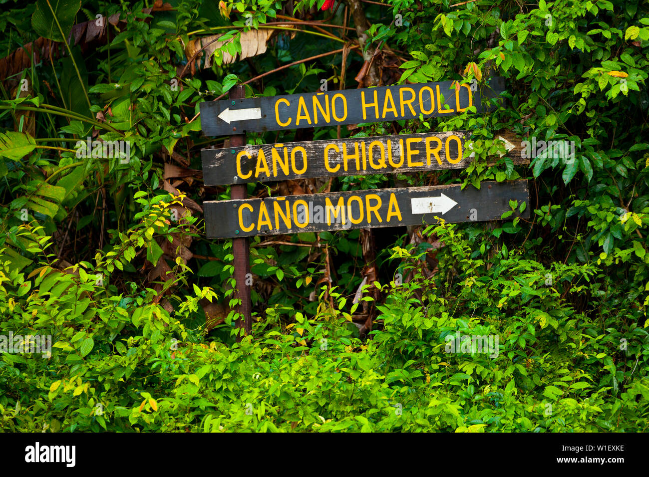 Paisaje de america central hi-res stock photography and images - Alamy
