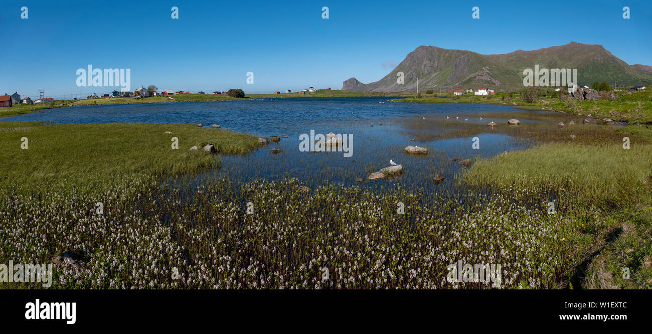 Beautiful location vesteralen hi-res stock photography and images - Alamy