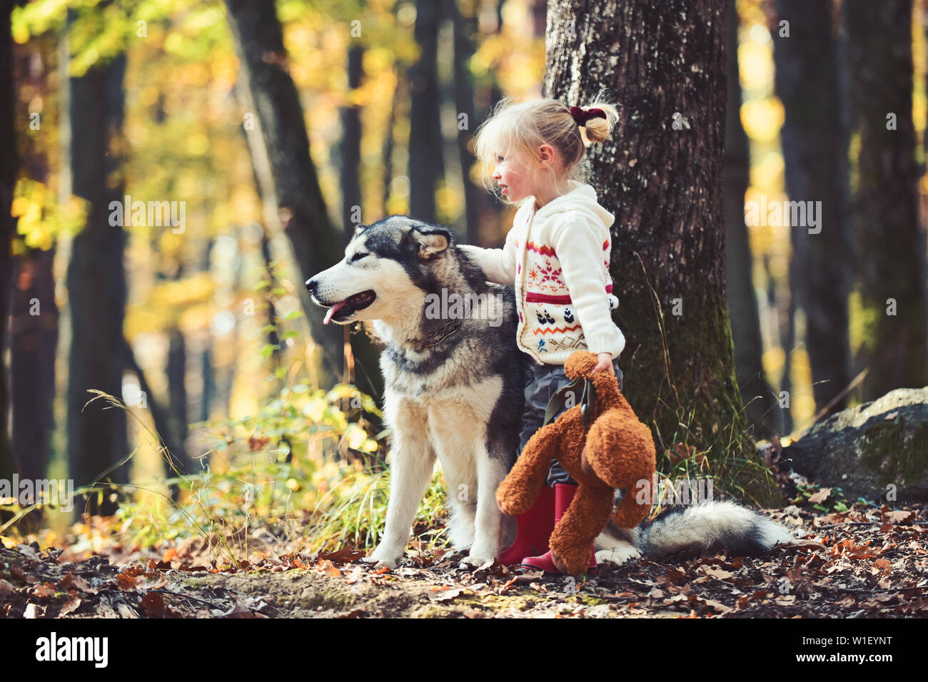 Little girl with dog an autumn woods Stock Photo - Alamy