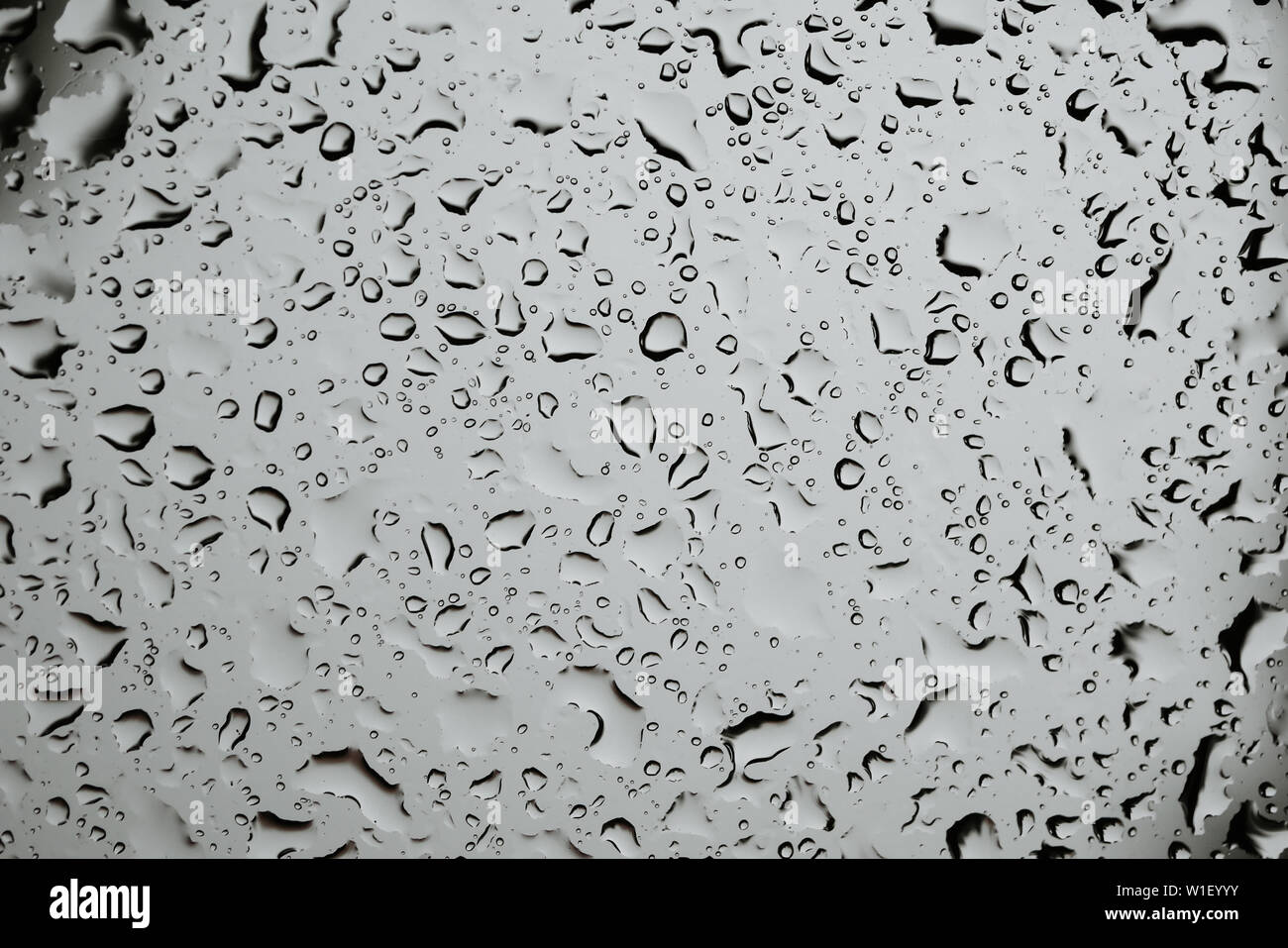 texture background drops of rain on glass Stock Photo - Alamy