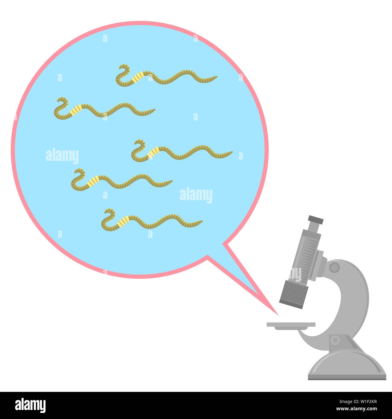 Worms and Microscope Dangerous Bad Parasites. Ascarid, Helminth Pinworm Threadworm Stock Vector