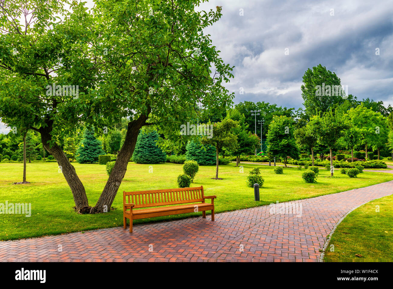 Beautiful sunny park with bench. Place for rest in the city Stock Photo