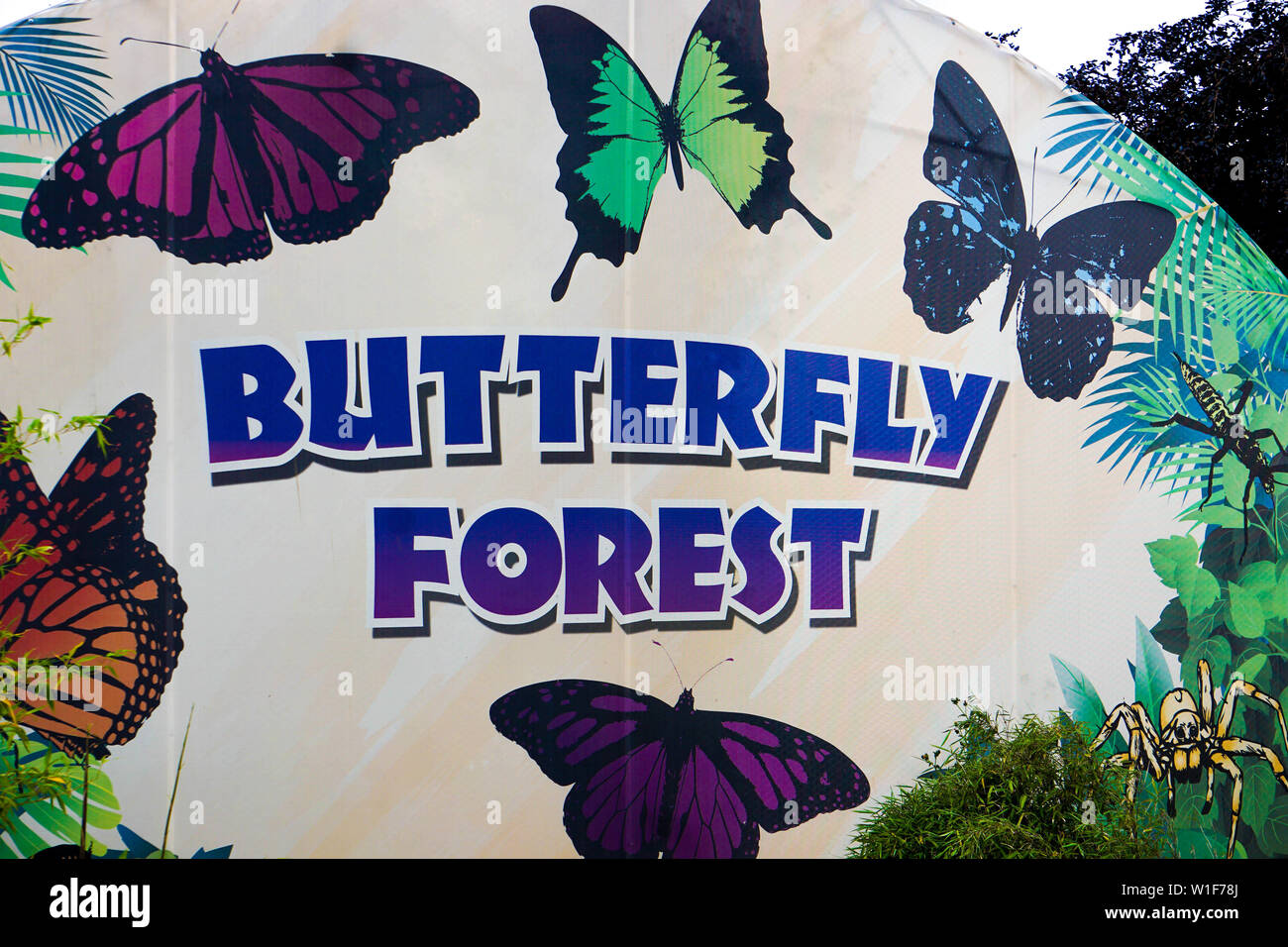 Animals at Twycross Zoo in the UK Stock Photo Alamy