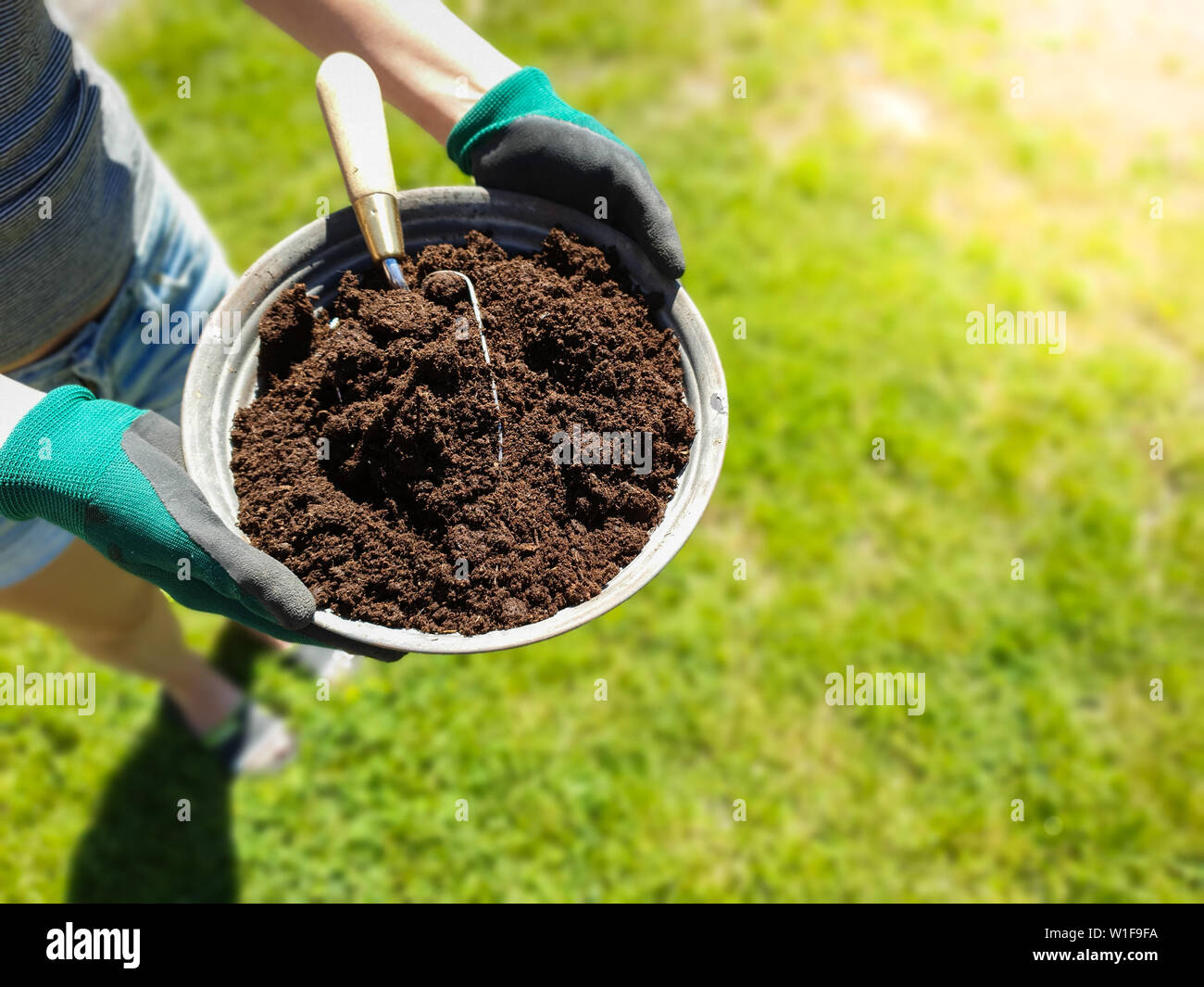 Concept for green organic gardening and agriculture. Hands in rubber gloves holds a metal bucket with soil and tool. Stock Photo