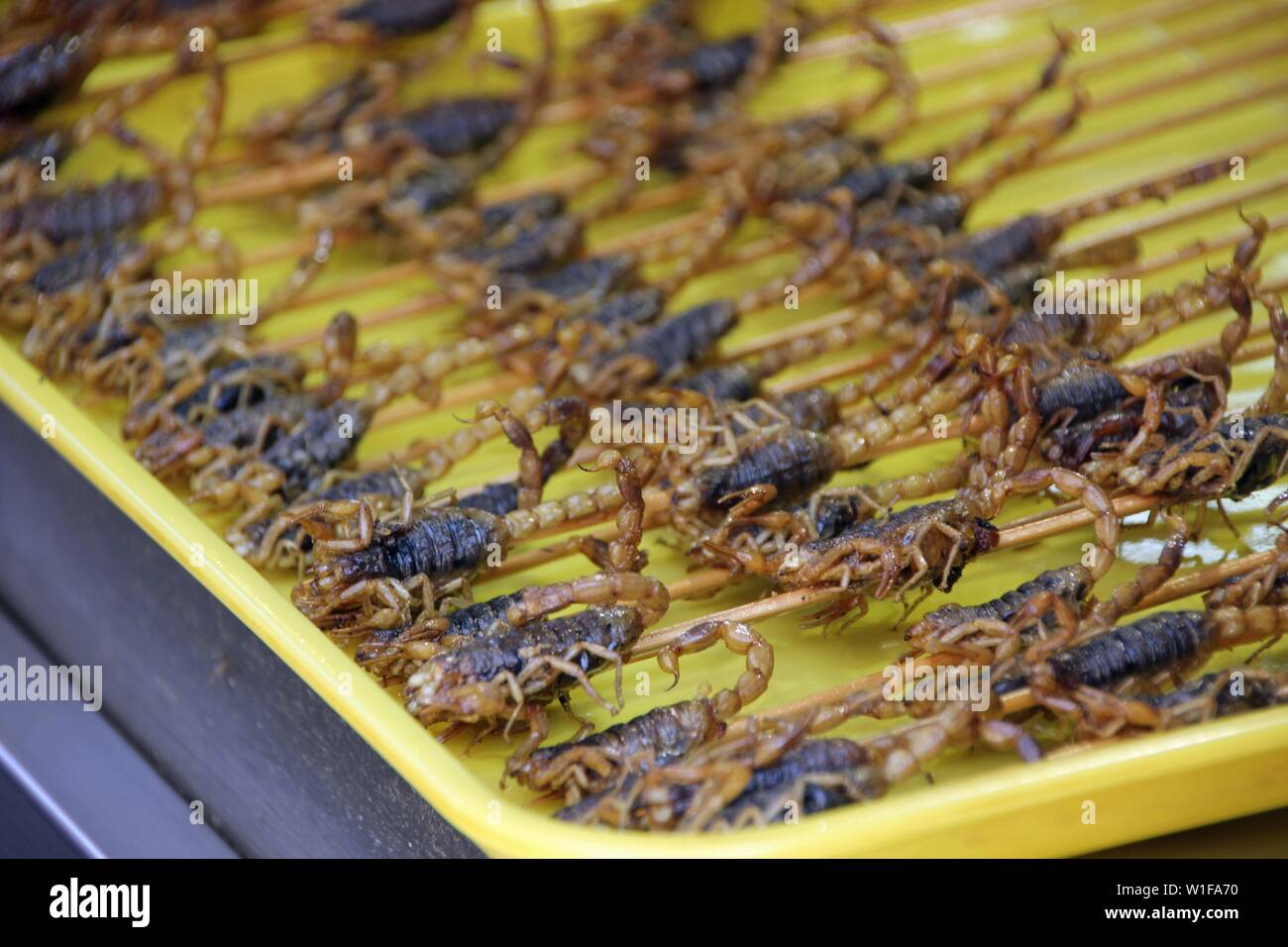 fresh streetfood with fried scorpions Stock Photo