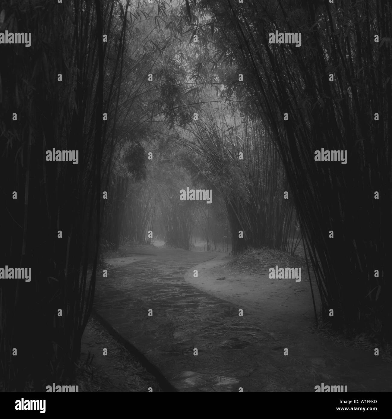tunnel light eerie mystery fog Stock Photo