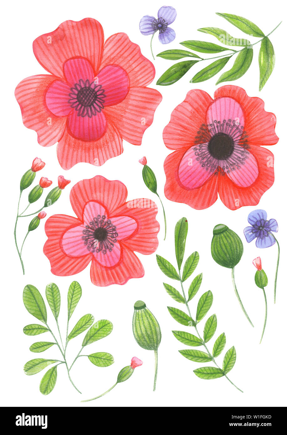 Flowers drawing color