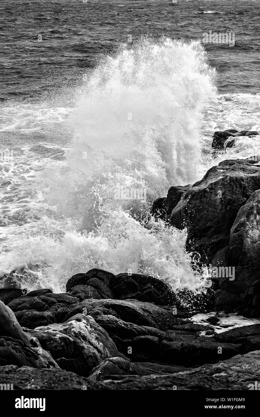 Wave surf ocean water beach splash Black and White Stock Photos ...