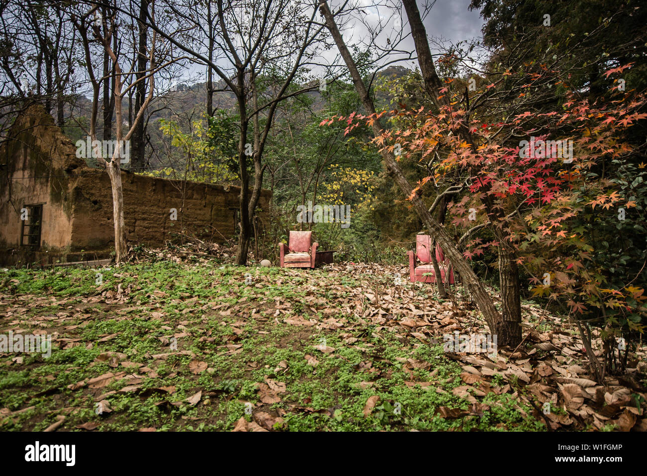 Leaf landscape hi-res stock photography and images - Alamy