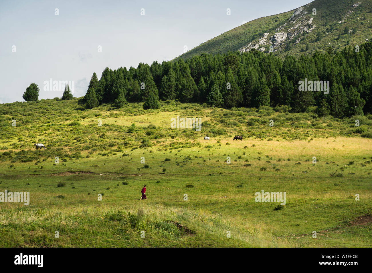 travel sky landscape hayfield hill Stock Photo Alamy