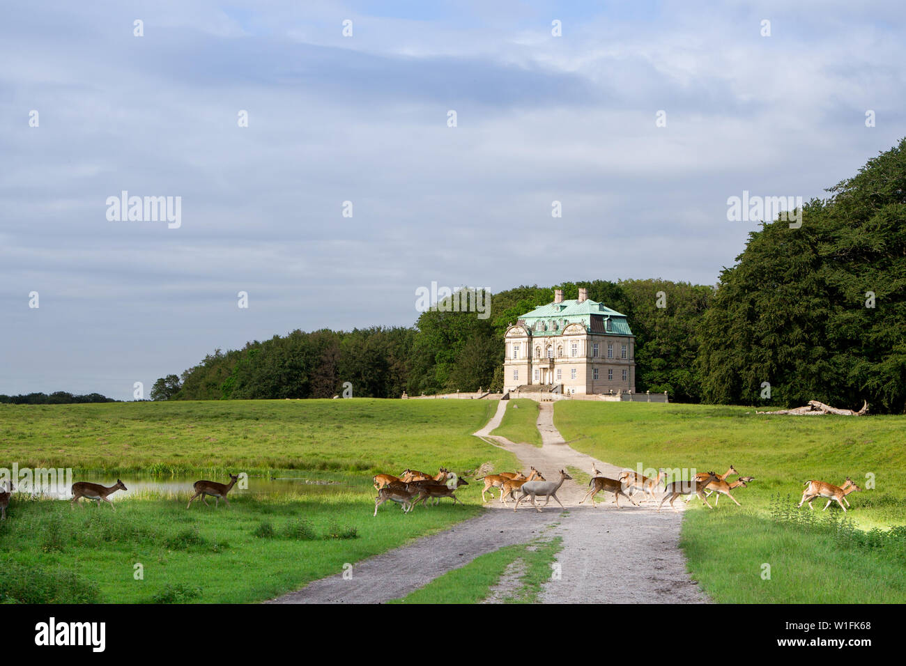 The Hermitage, a royal hunting lodge in Klampenborg of Denmark. Dyrehaven is a forest park north of Copenhagen. Stock Photo