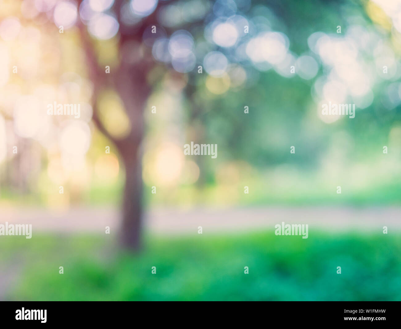 Macro background green park Stock Photo - Alamy