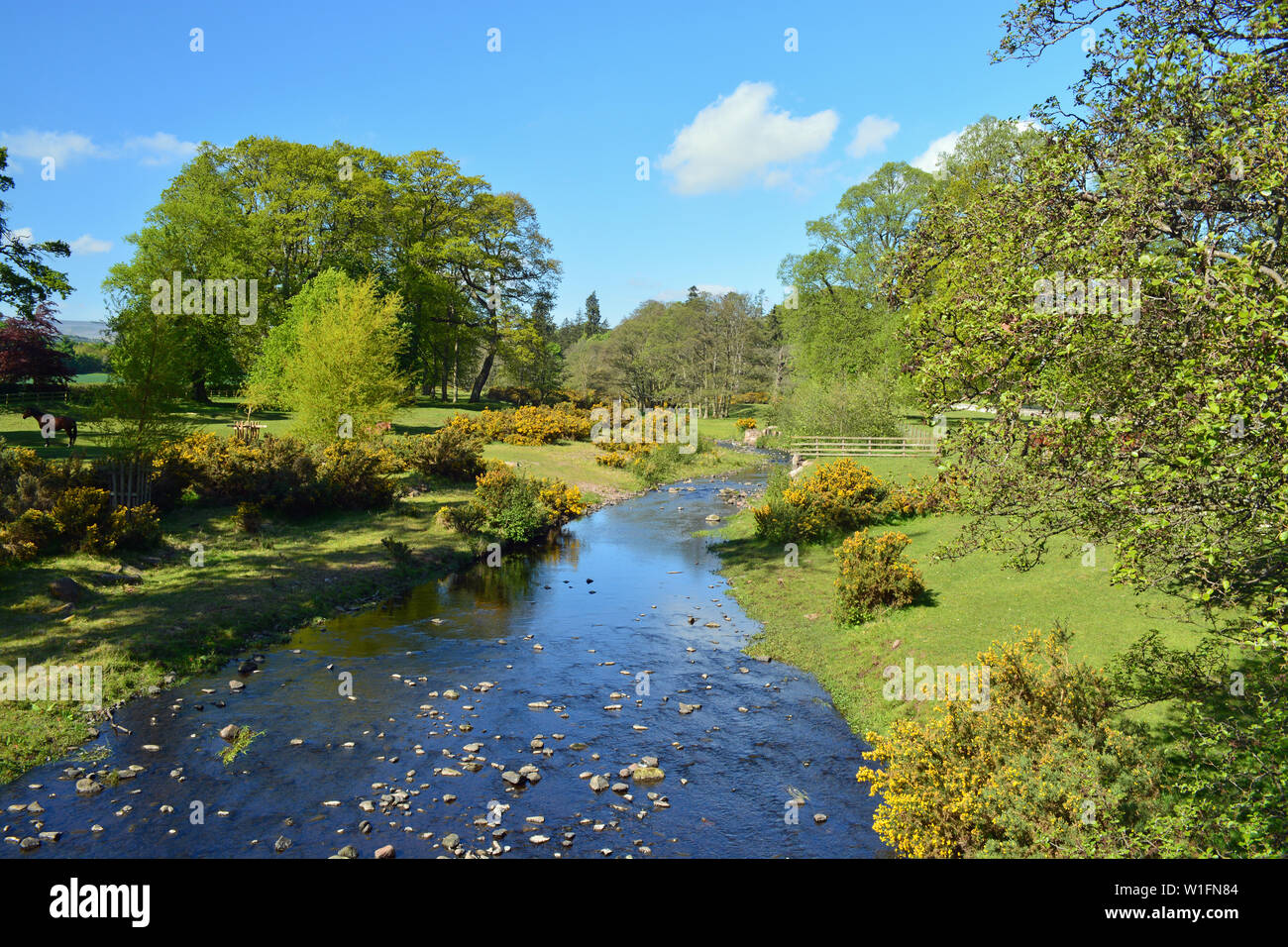 River Till East Lilburn, Northumberland Stock Photo - Alamy