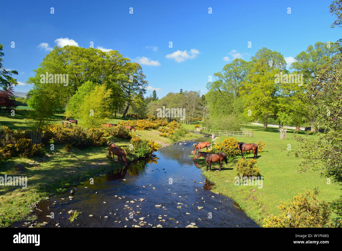 river-till-east-lilburn-northumberland-stock-photo-alamy